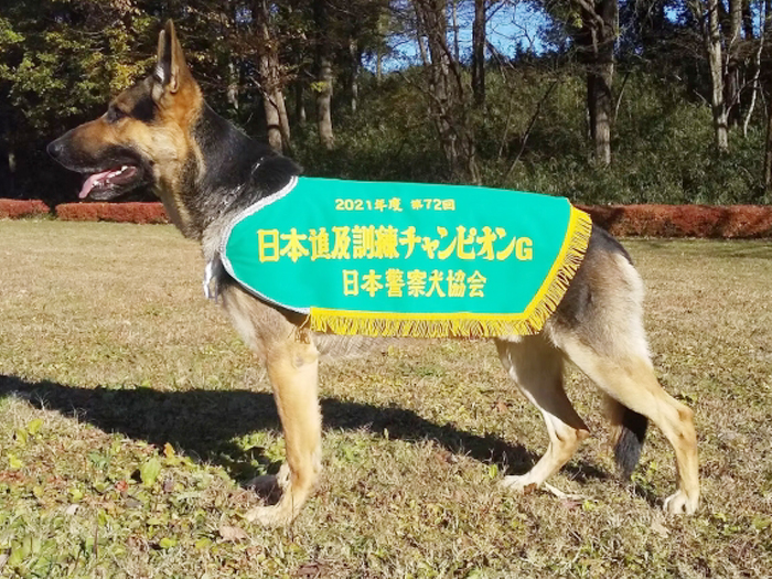 お気軽にご相談ください