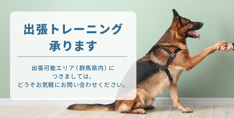 出張トレーニング承ります　出張可能エリア（群馬県内）につきましては、どうぞお気軽にお問い合わせください。